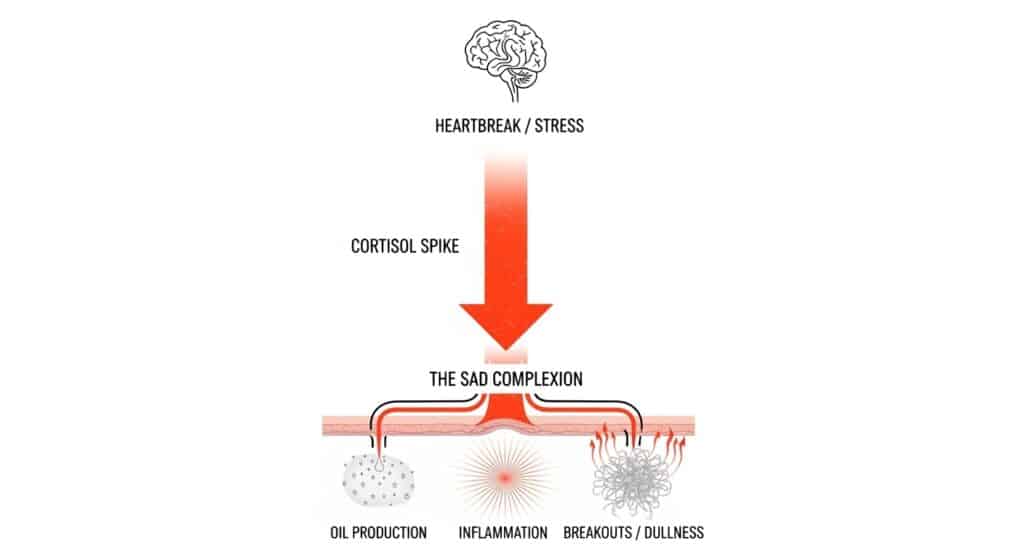 Infographic showing how heartbreak and stress increase cortisol, causing oil production, inflammation, and dullness in the skin.